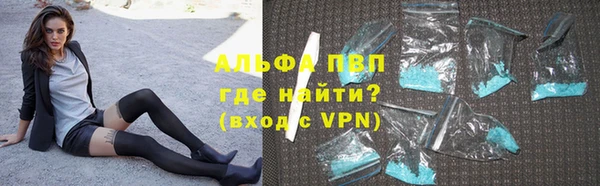 индика Осинники