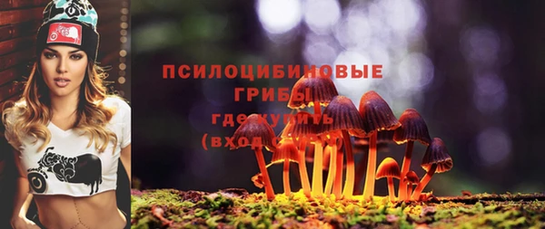 a pvp Алексеевка