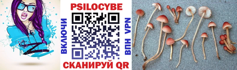 Псилоцибиновые грибы мухоморы Княгинино